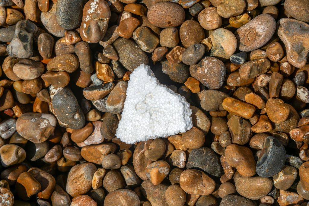 'Setback for Alaska and Our Oceans': GOP Governor Vetoes Ban on Single-Use Polystyrene Food Packaging in Alaska
