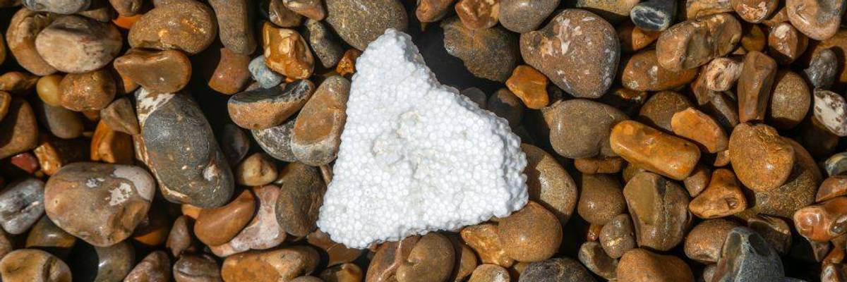 'Setback for Alaska and Our Oceans': GOP Governor Vetoes Ban on Single-Use Polystyrene Food Packaging in Alaska