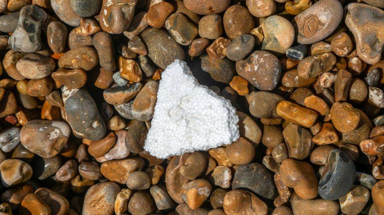 'Setback for Alaska and Our Oceans': GOP Governor Vetoes Ban on Single-Use Polystyrene Food Packaging in Alaska