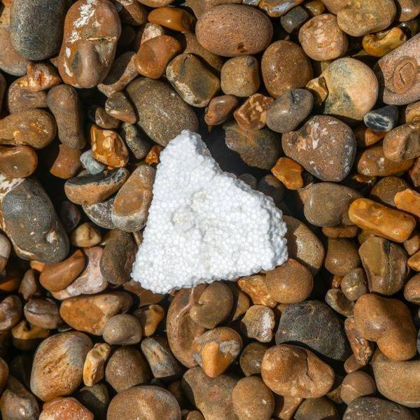 'Setback for Alaska and Our Oceans': GOP Governor Vetoes Ban on Single-Use Polystyrene Food Packaging in Alaska