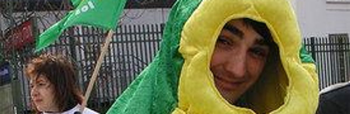 Stage Set for Next Battle Over GMO Corn in France
