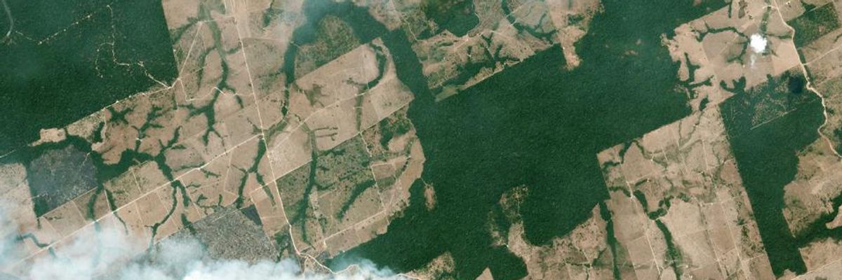 Views of Destruction: Satellite Images Reveal Devastating Amazon Fires in Almost Real-Time
