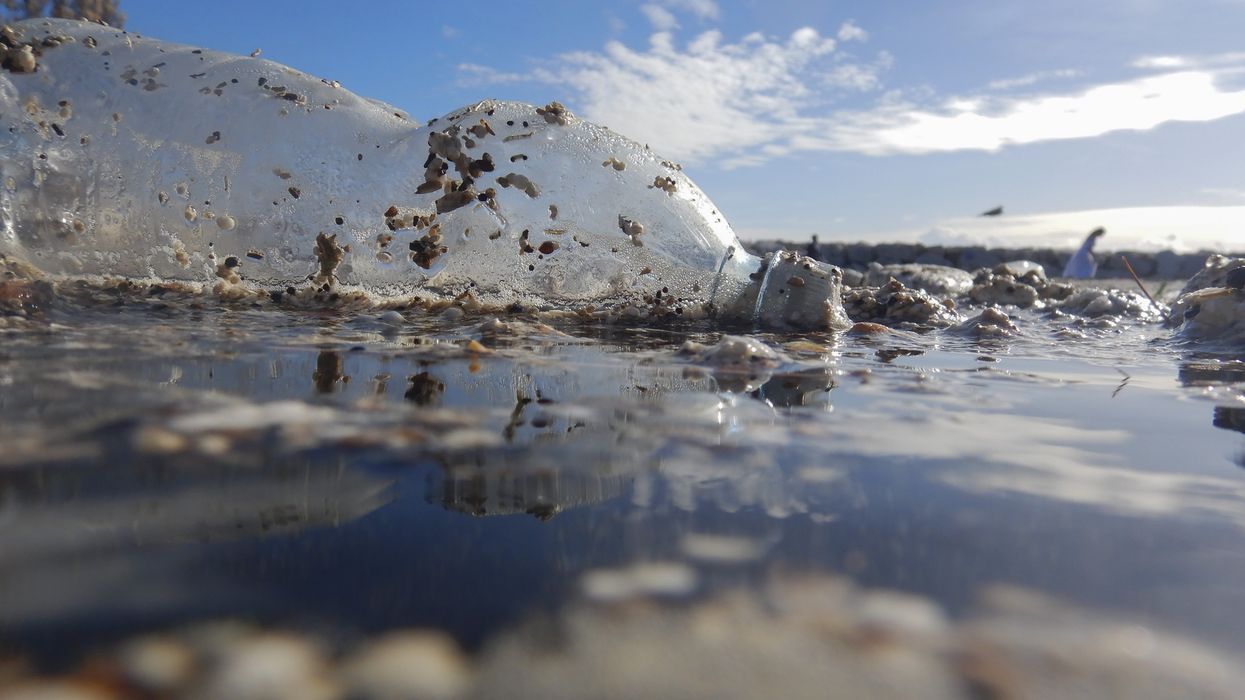 Plastic bottles washed up on the beach due to storms in Naples, Italy on November 23, 2022.