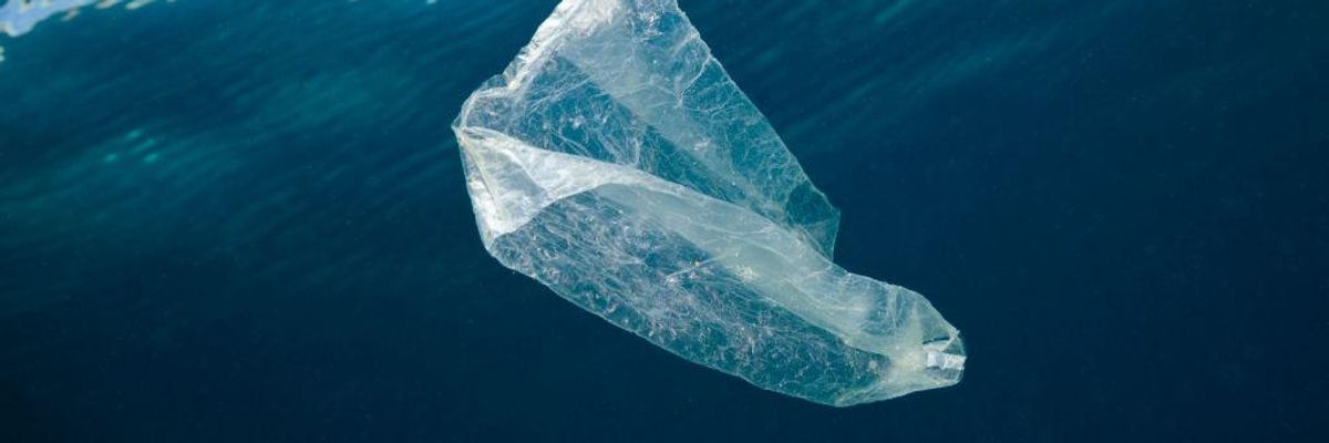 Amazon Must Stop Flooding Our Oceans With Plastic Waste