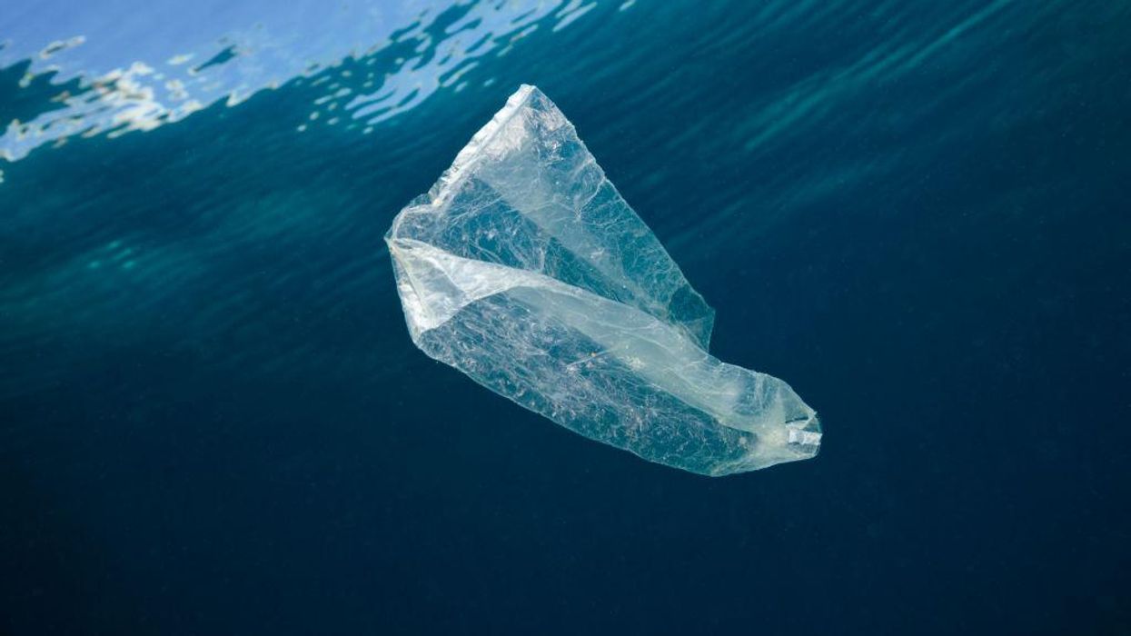 Amazon Must Stop Flooding Our Oceans With Plastic Waste