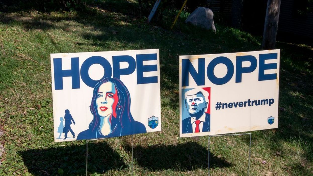 Understanding 'The Undecided' in the 2024 Election