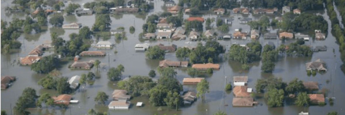 'Violence by Number Tampering': Trump Manipulated Government Estimates of Climate Costs, Says GAO Report