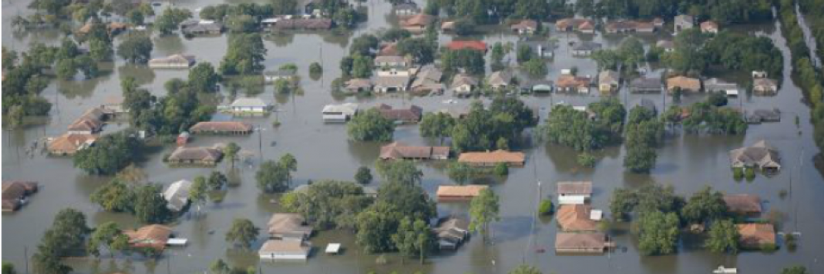 'Violence by Number Tampering': Trump Manipulated Government Estimates of Climate Costs, Says GAO Report