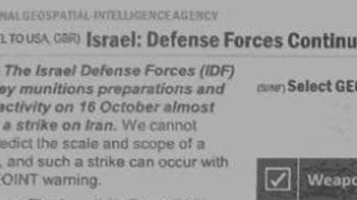 portion of US Intel docs