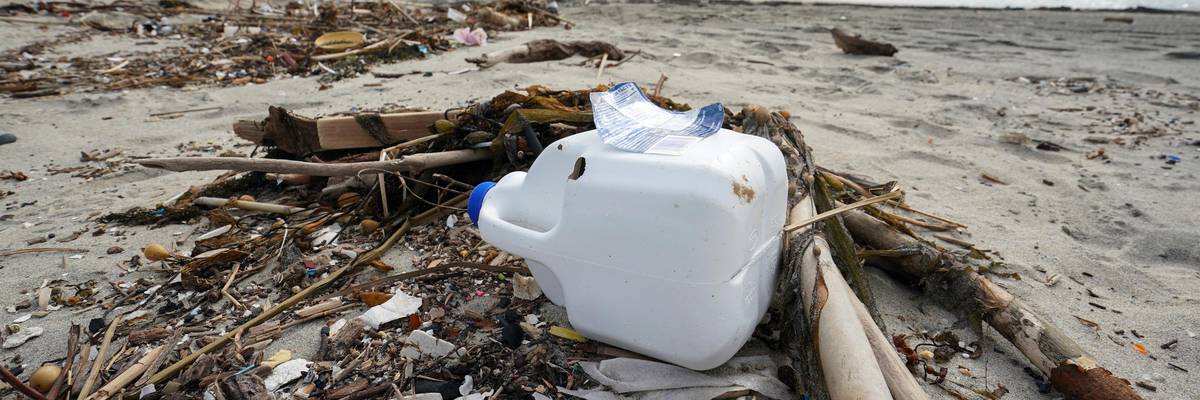 Post-storm debris made up mostly of plastics and vegetation is scattered across the high tide line in Long Beach, California on Dec. 2, 2019. (Photo: Scott Varley/MediaNews Group/Torrance Daily Breeze via Getty Images)