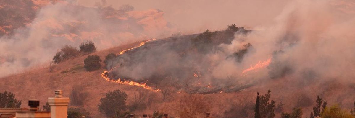 California Is on Fire. Trump's Solution: Rakes?