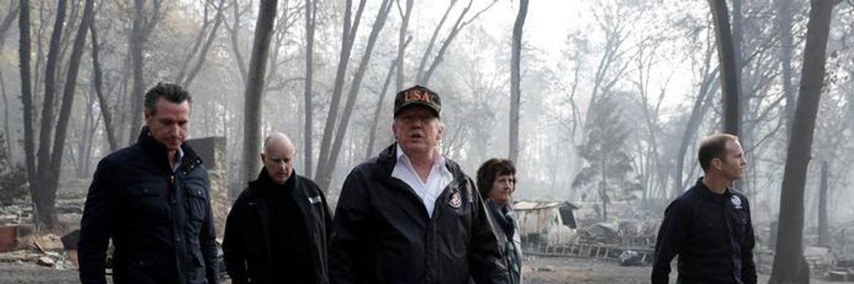#RakeNews: Finns Ridicule Trump's Claim That They Prevent Fires Like California's by "Raking" Forests