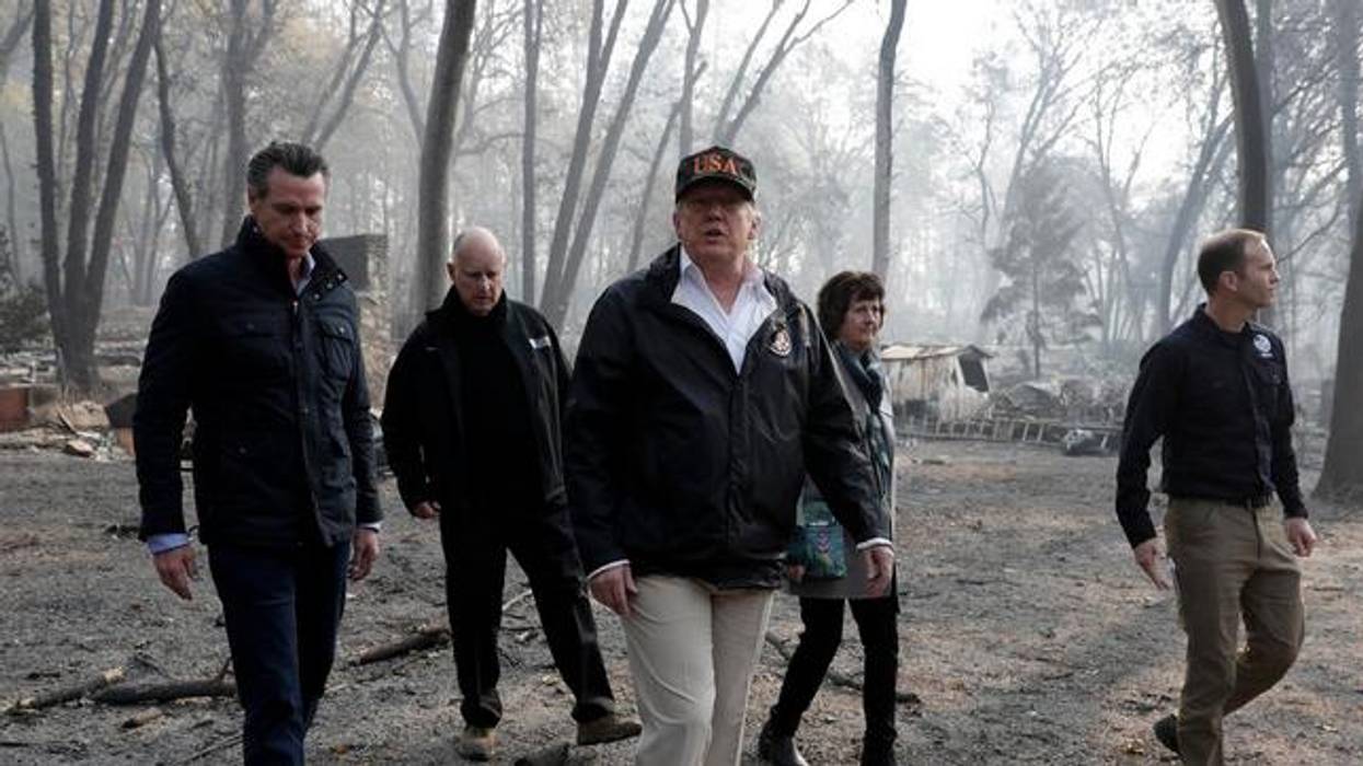 #RakeNews: Finns Ridicule Trump's Claim That They Prevent Fires Like California's by "Raking" Forests