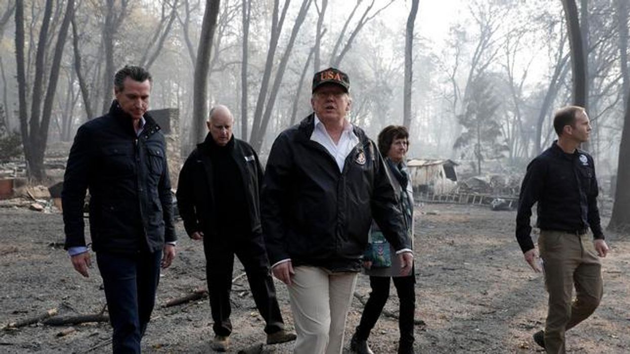 #RakeNews: Finns Ridicule Trump's Claim That They Prevent Fires Like California's by "Raking" Forests