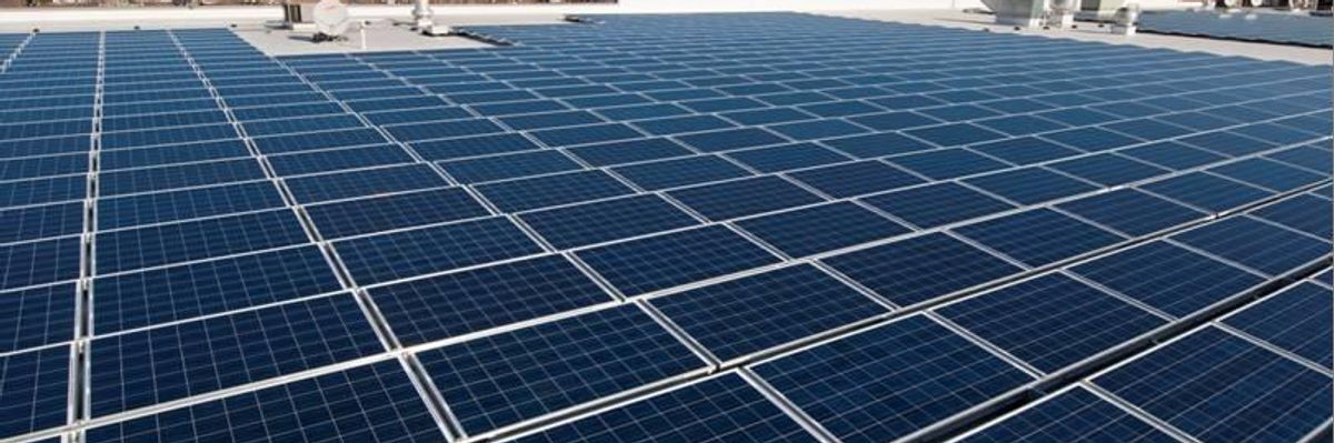 Trade Panel Ruling Gives Trump Authority to Cripple Nation's Solar Industry