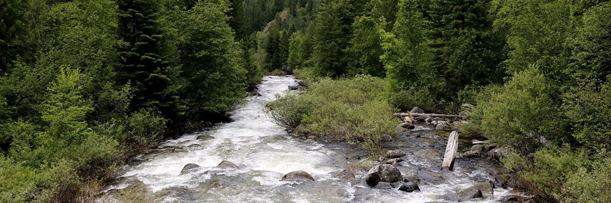 'America the Beautiful': Biden Administration Aims to Protect 30% of US Lands and Waters by 2030