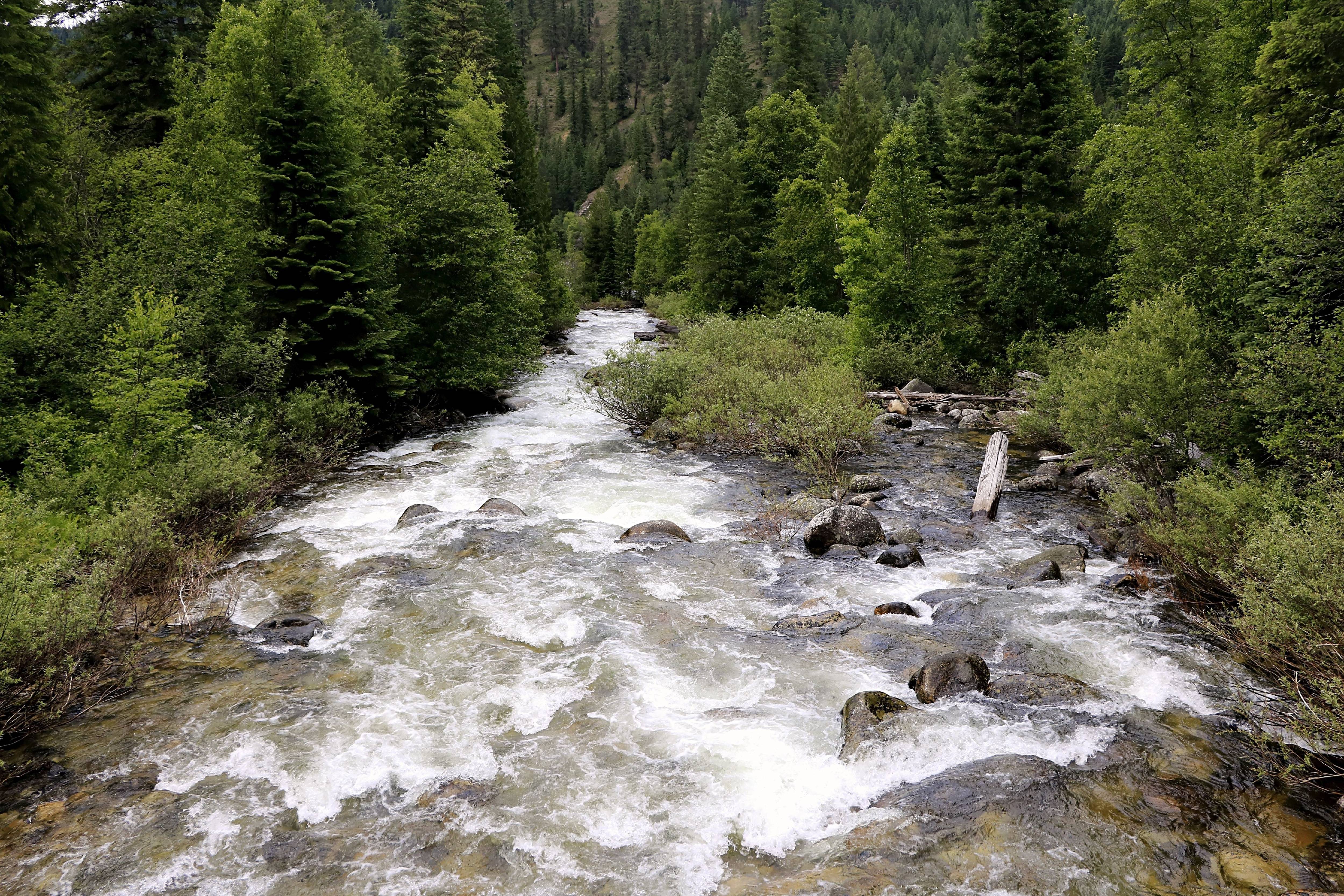 Pristine Boulder Creek in the Clearwater National Forest of northern Idaho
