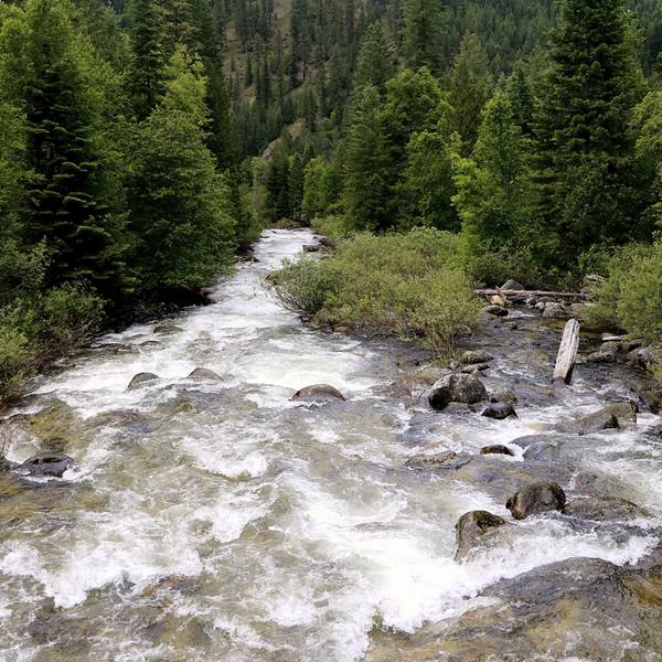 Pristine Boulder Creek in the Clearwater National Forest of northern Idaho