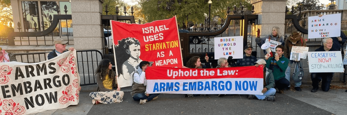 Pro-Palestine protesters block a White House gate to demand an arms embargo on Israel