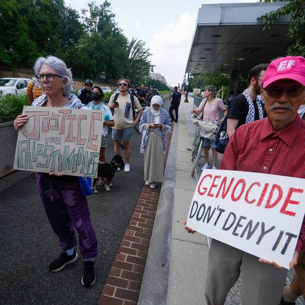 Pro-Palestinian protest in Washington DC