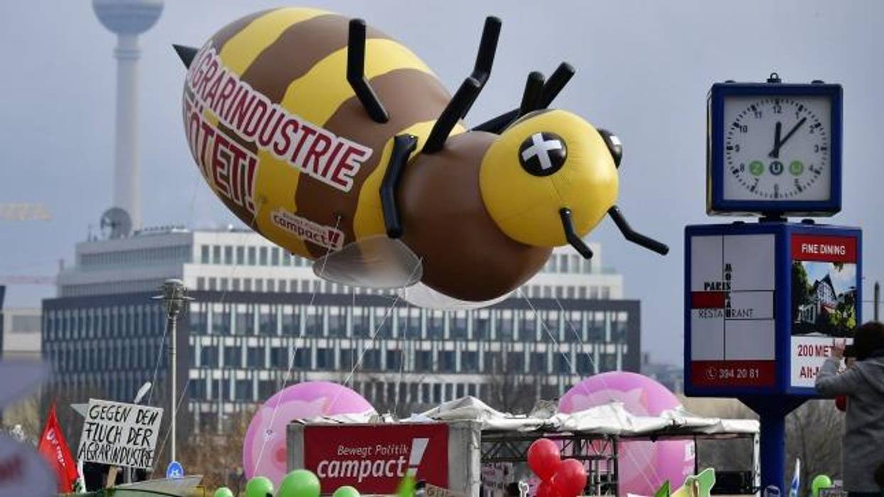 Because 'A World Without Insects Is Not Worth Living In,' Germany Announces Plan to Ban Glyphosate