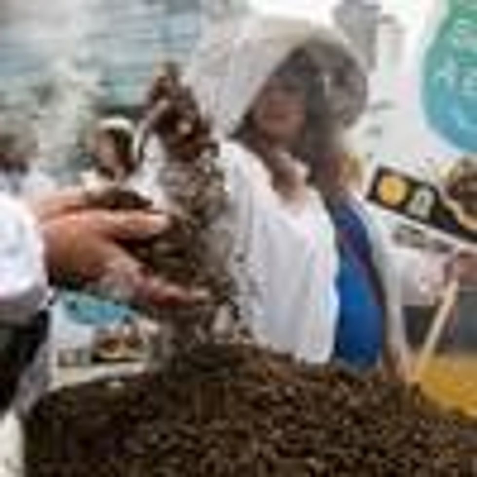 Protesters hold bees killed by pesticides prior to the annual shareholders meeting of German chemicals and pharmaceuticals conglomerate Bayer AG on April 26, 2019 in Bonn, Germany. (Photo: Maja Hitij via Getty Images)