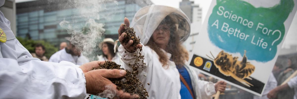 Rejecting Bayer Appeal, Top EU Court Upholds Ban on Bee-Killing Pesticides