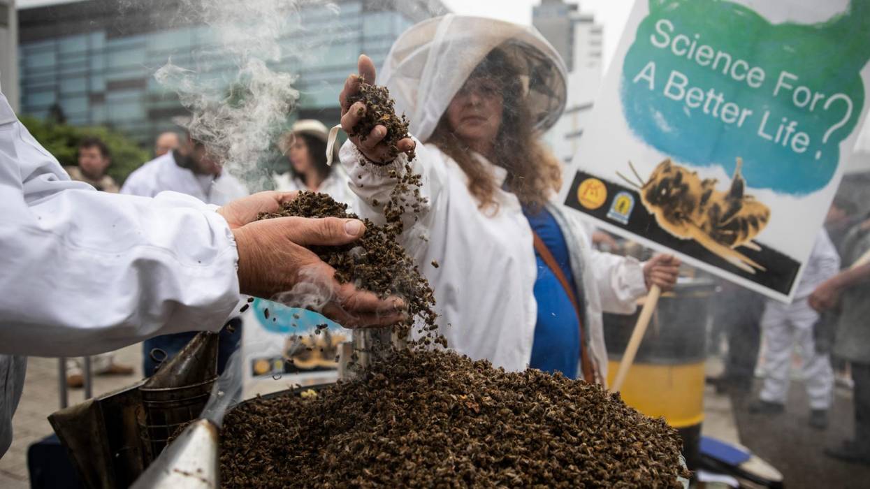 Protesters hold bees killed by pesticides