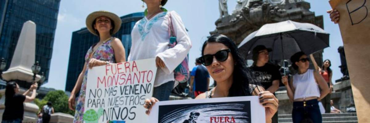 Emails Reveal US Officials Joined With Agrochemical Giant Bayer to Stop Mexico's Glyphosate Ban