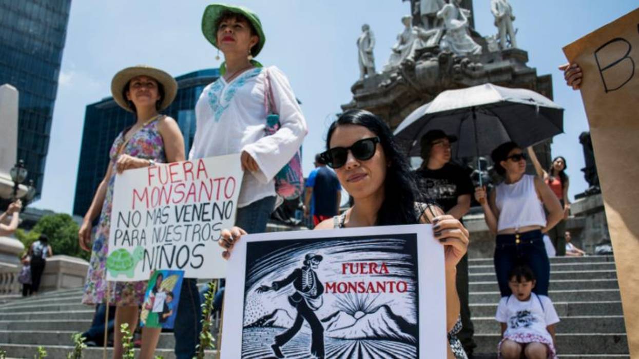 Emails Reveal US Officials Joined With Agrochemical Giant Bayer to Stop Mexico's Glyphosate Ban
