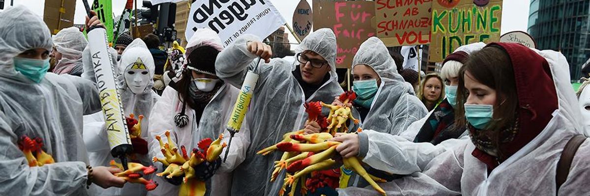 If We Want Antibiotics to Work, Consumers Have to Put Big Pressure on Factory Farms