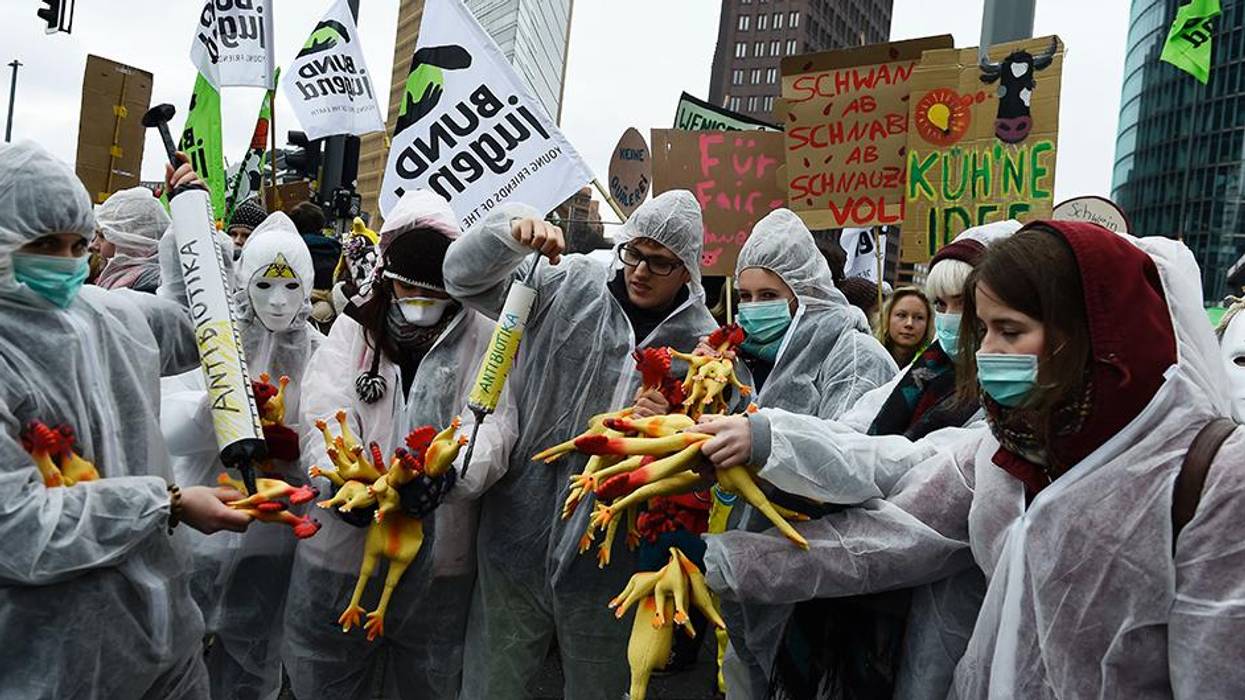 If We Want Antibiotics to Work, Consumers Have to Put Big Pressure on Factory Farms