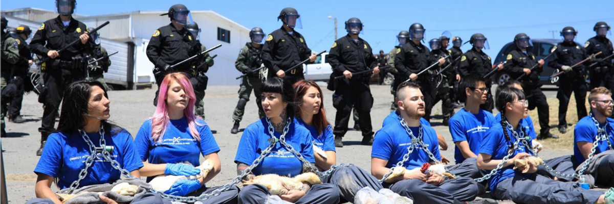 Nearly 100 Animal Rights Activists Arrested for Protesting 'Torturous Practices' at Duck Slaughterhouse