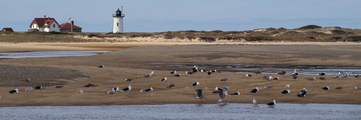 Race Point Lighthouse