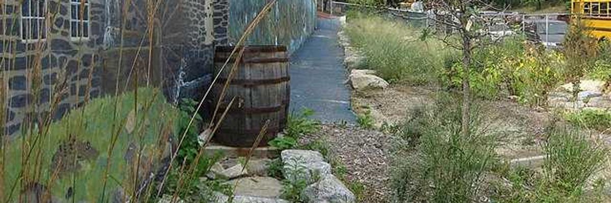 Rain barrel in yard.