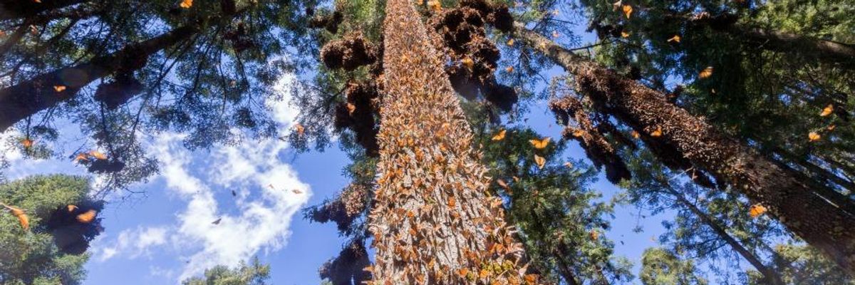 Raul Hernandez Romero