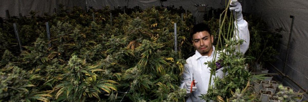 'Major Step Forward' as New Mexico Legalizes Recreational Marijuana