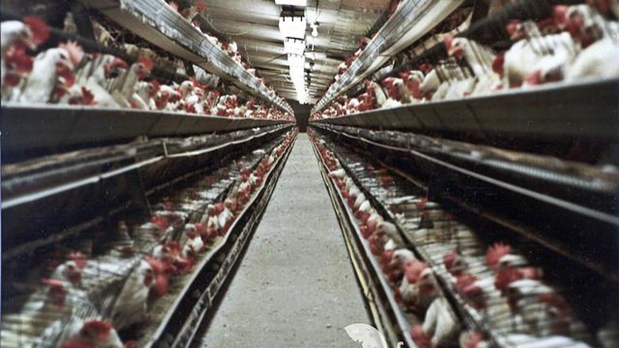 Want To Fight Climate Change? Look No Further Than Your Dinner Plate