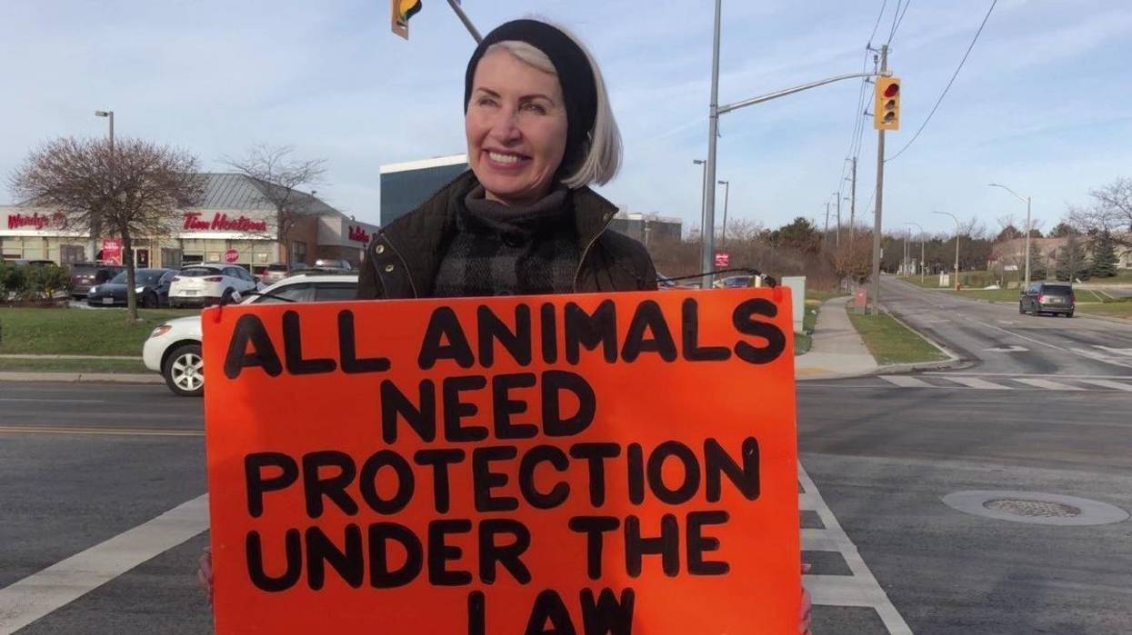 The Birth of a Bill, the Death of an Activist