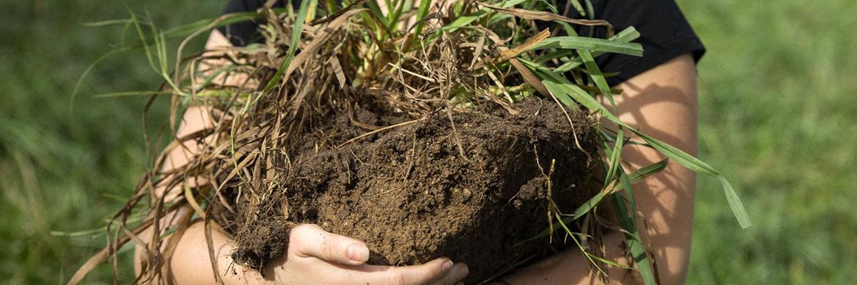 The Climate Solution Right Under Our Feet