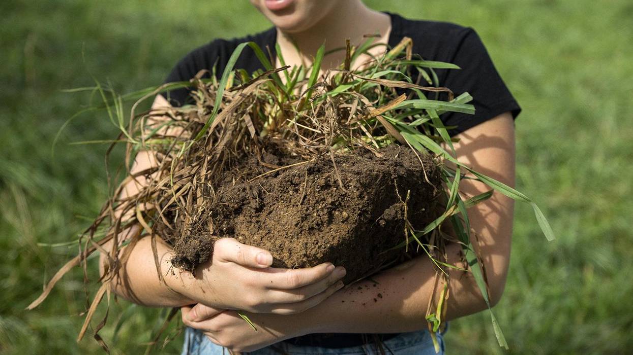 The Climate Solution Right Under Our Feet