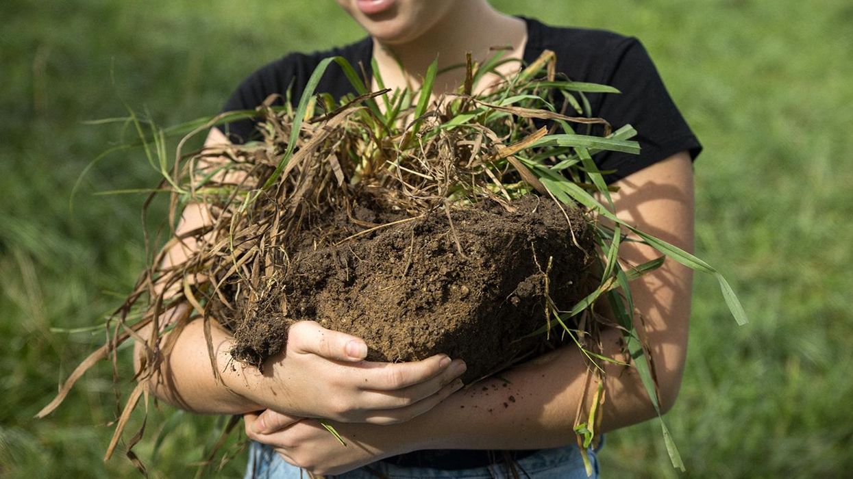 The Climate Solution Right Under Our Feet