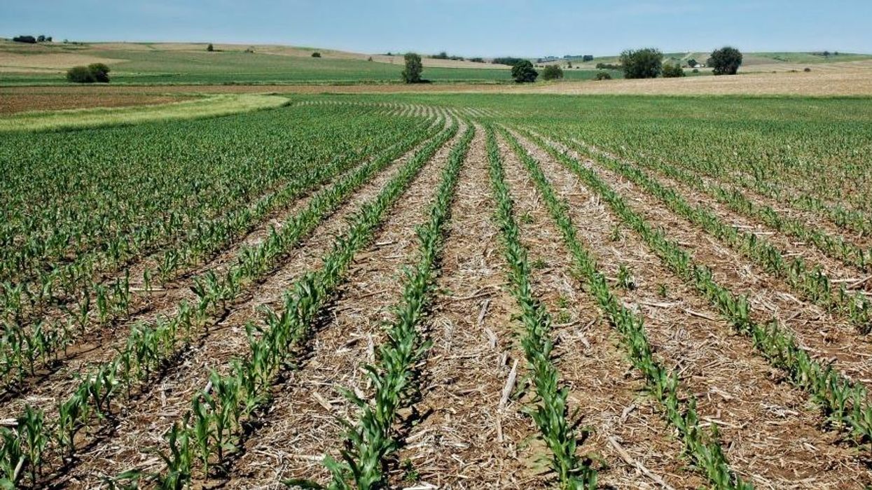 How Regenerative Food and Farming Can Reverse Rural Poverty and Forced Migration in the Americas