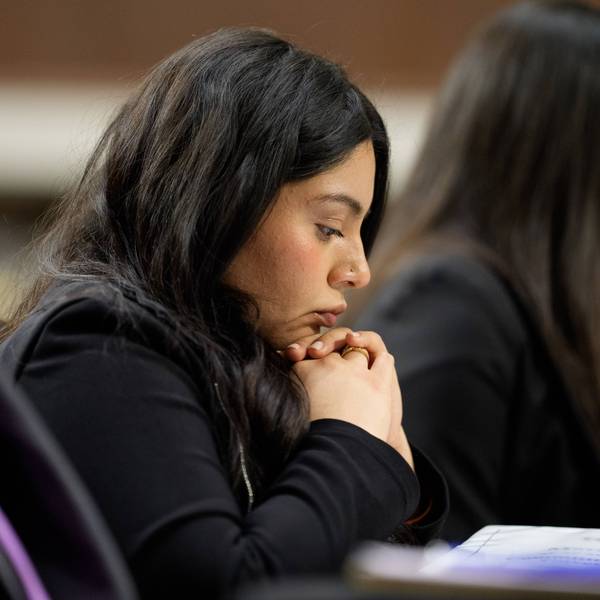 Renee Good's Brothers Give Public Testimony On Violent Use Of Force By DHS Agents