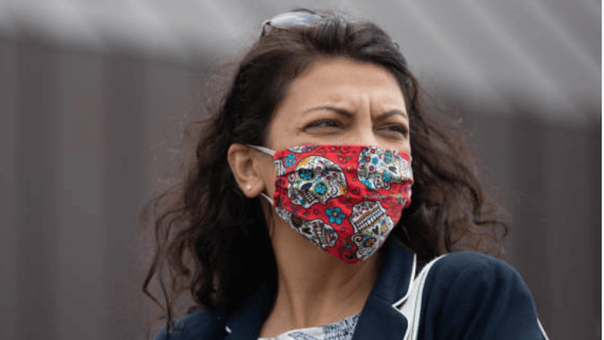 Progressive Rashida Tlaib Calls Primary Victory 'A Resounding Mandate to Put People Before Profits'