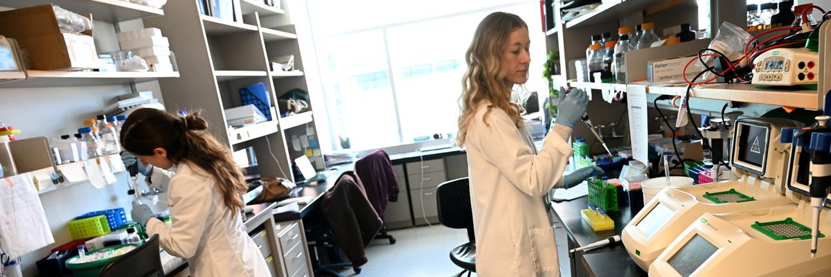 Research students Sheera Rosenbaum, left, and Kaiah Fields, right, work in the lab at the CU Anschutz Cancer Center