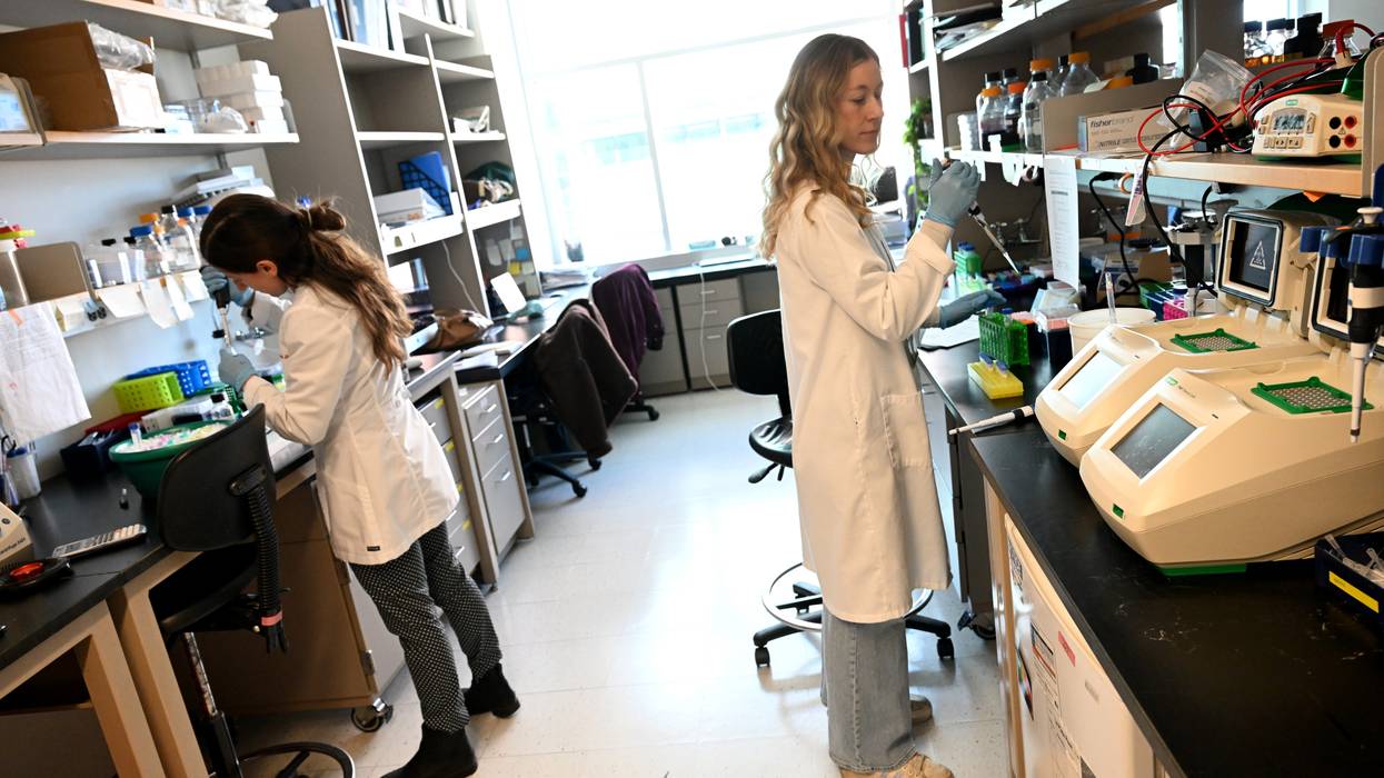 Research students Sheera Rosenbaum, left, and Kaiah Fields, right, work in the lab at the CU Anschutz Cancer Center