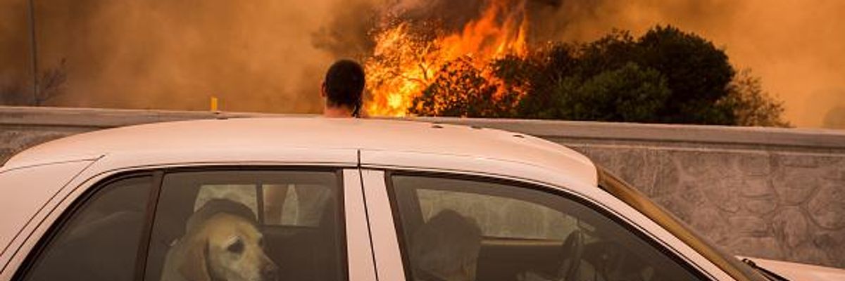 'Where Will Everyone Go?' New Report Documents How Climate Migration Could Reshape US