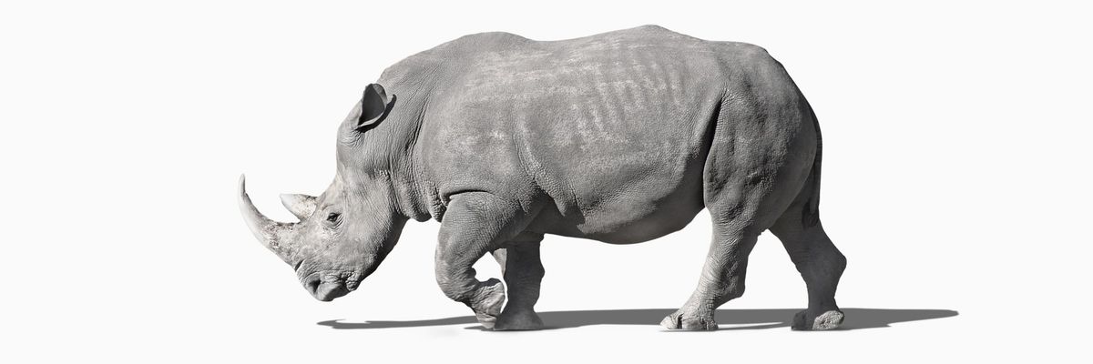 Nobody for President: This Absurd Election Choice Should Have Us Thundering in the Streets