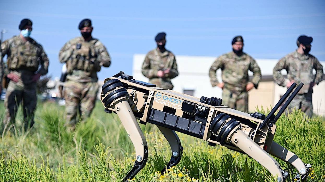 Robodog